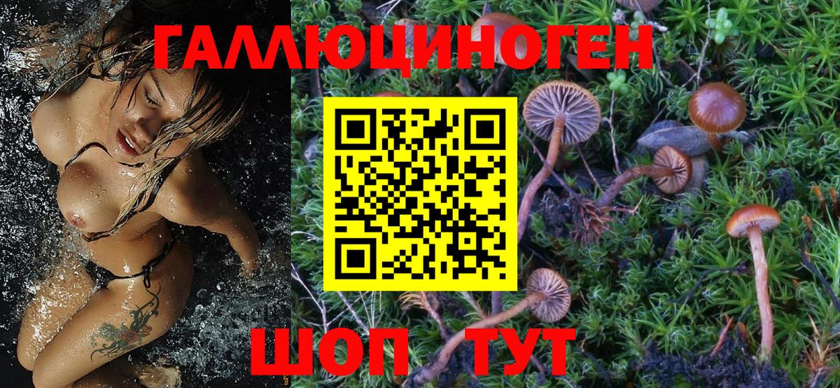 Павлово  Псилоцибиновые грибы мухоморы  Вход с VPN 
