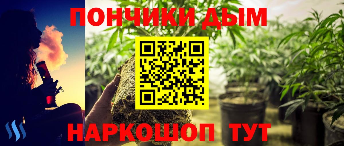 Шишки марихуана Bruce Banner  Вход с VPN  Павлово  Шишки марихуана Ganja 